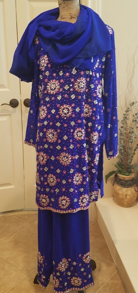 Beautiful Palazzo India Pant Suit(Gagra Choli)